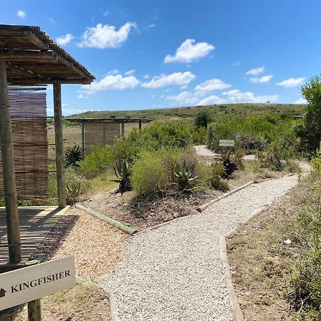 Garden Route Game Lodge Albertinia Екстериор снимка