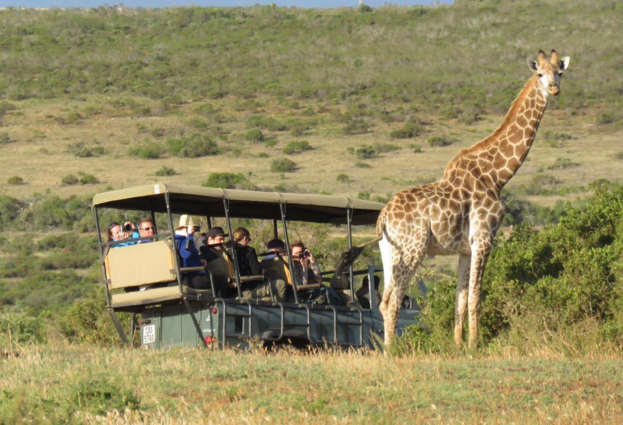 Garden Route Game Lodge Albertinia Екстериор снимка