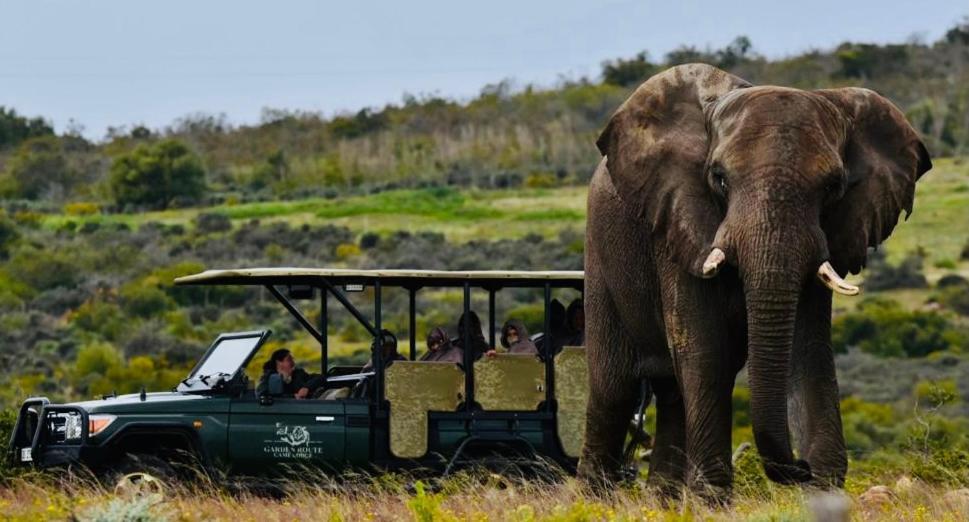 Garden Route Game Lodge Albertinia Екстериор снимка