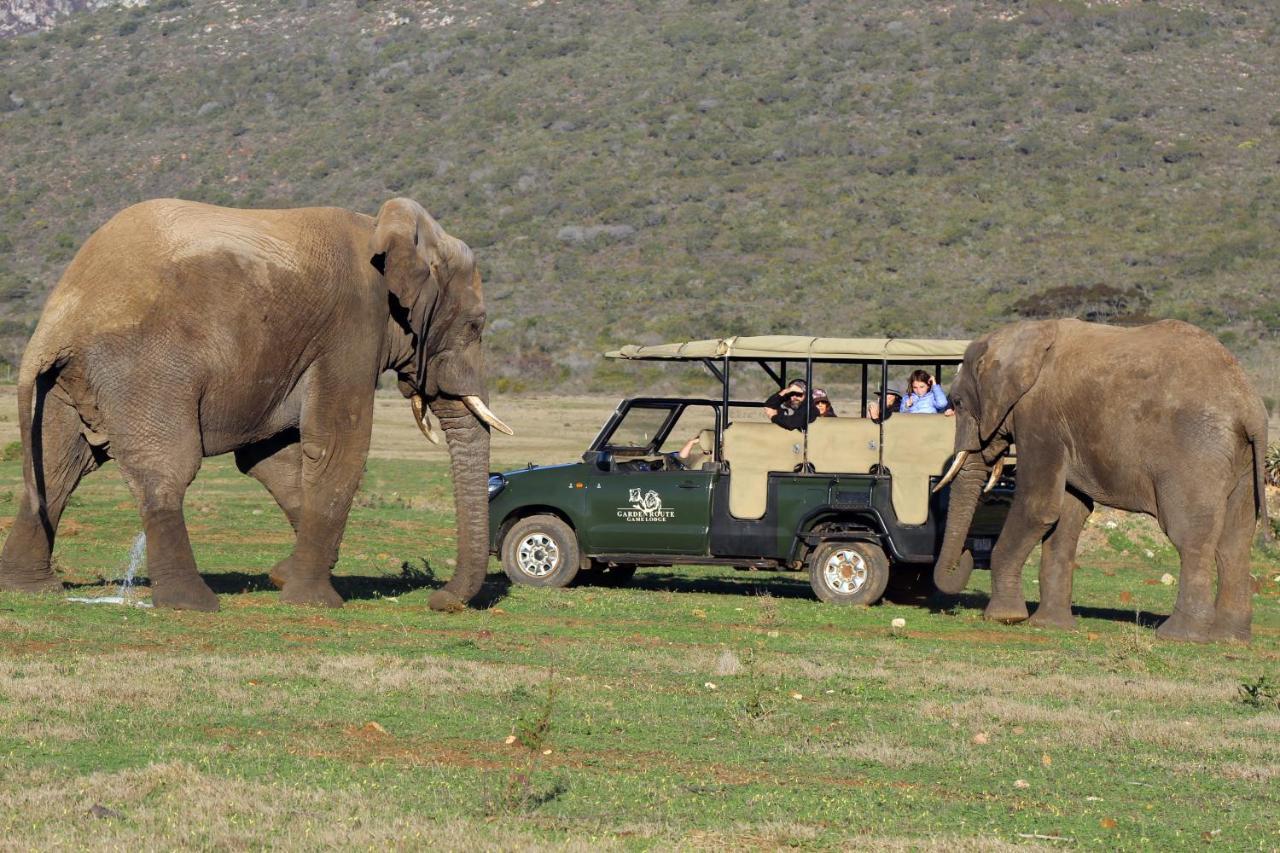 Garden Route Game Lodge Albertinia Екстериор снимка