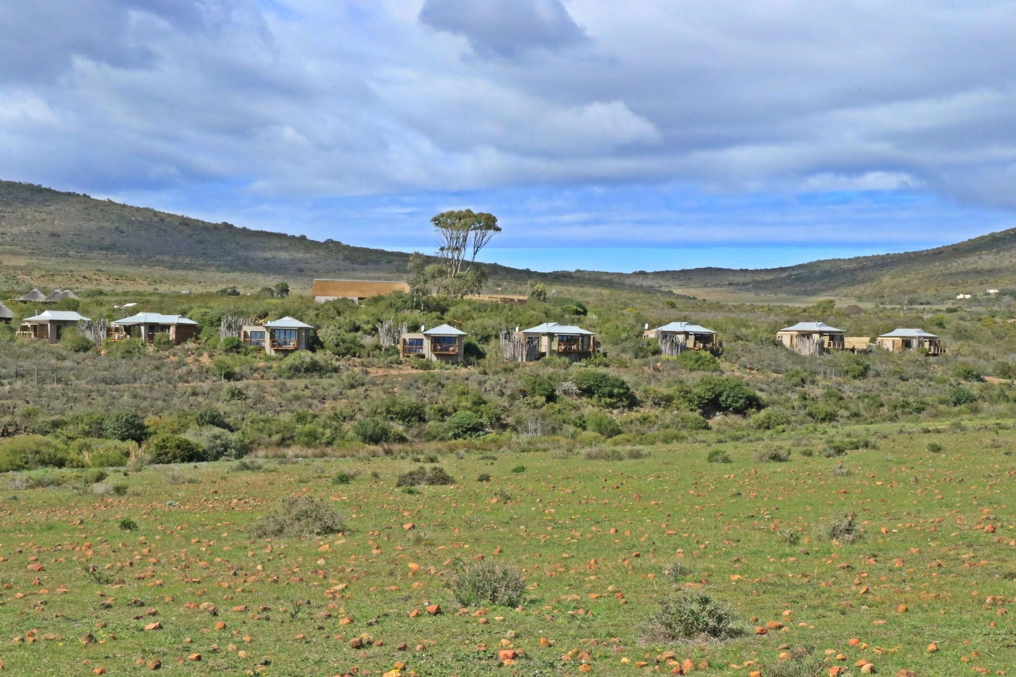 Garden Route Game Lodge Albertinia Екстериор снимка