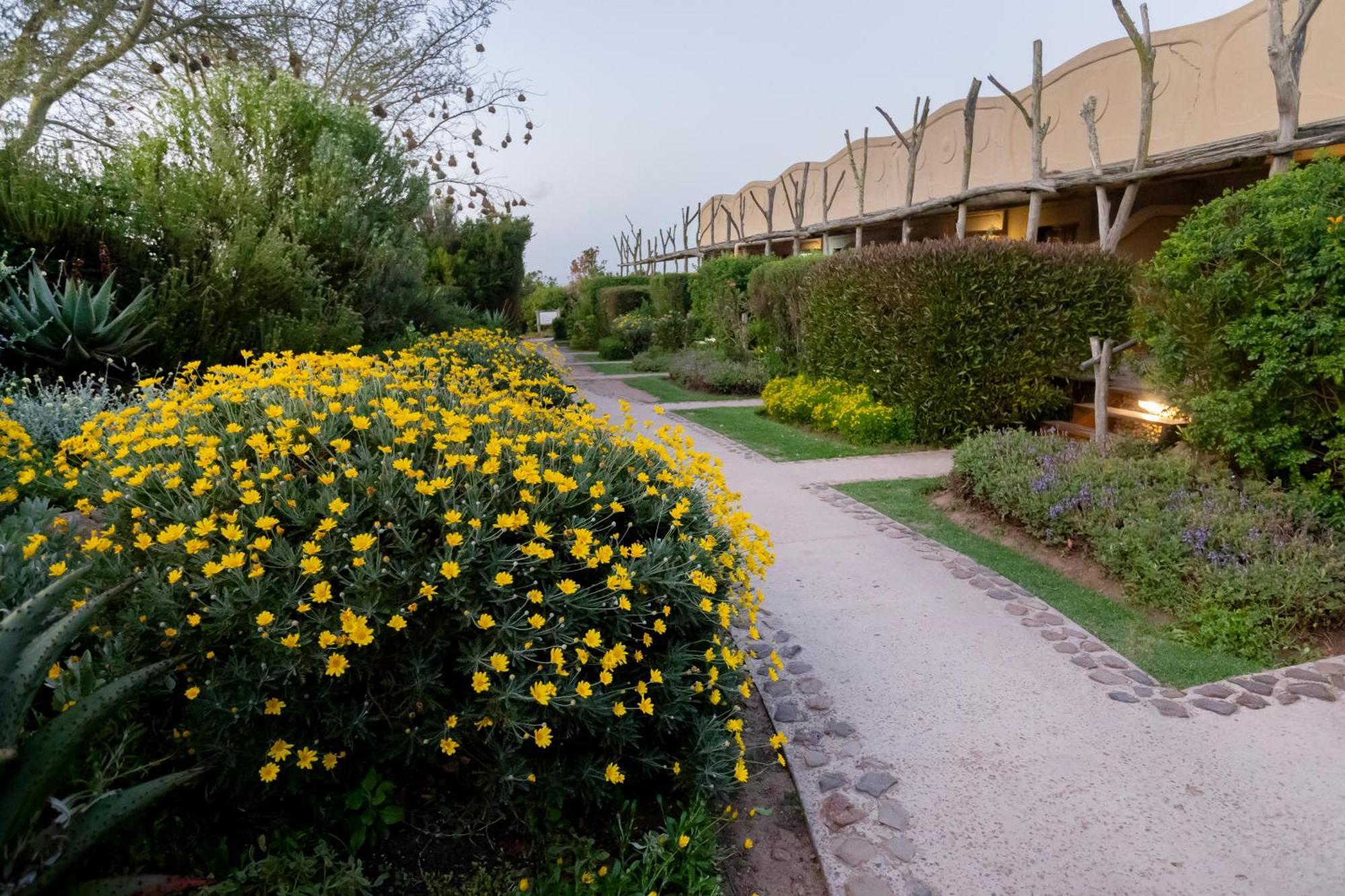 Garden Route Game Lodge Albertinia Екстериор снимка