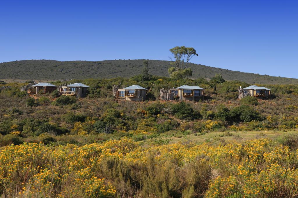 Garden Route Game Lodge Albertinia Екстериор снимка