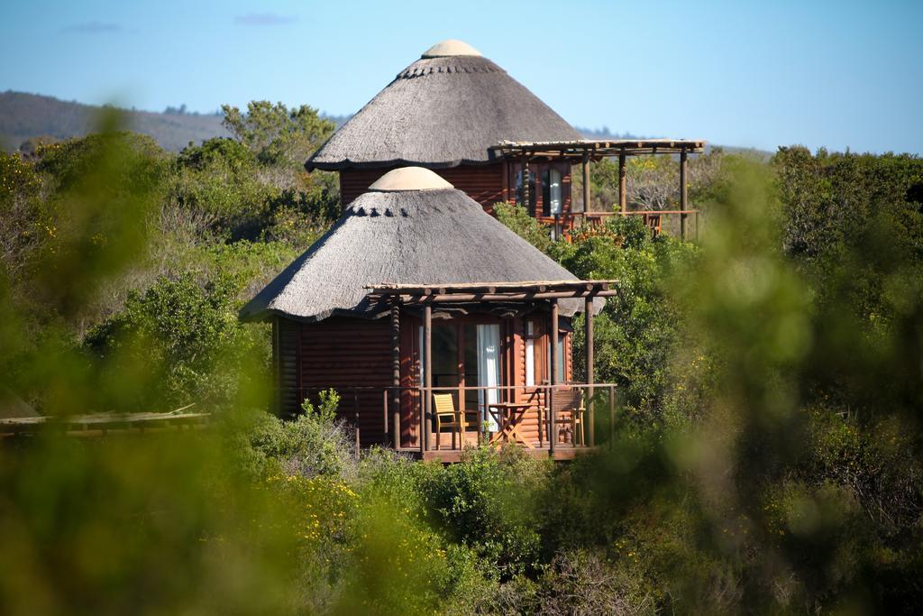 Garden Route Game Lodge Albertinia Екстериор снимка