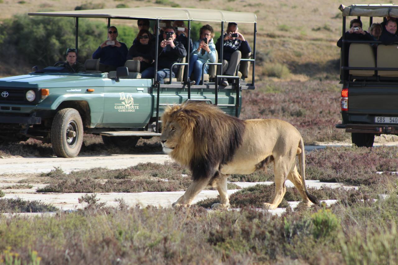 Garden Route Game Lodge Albertinia Екстериор снимка